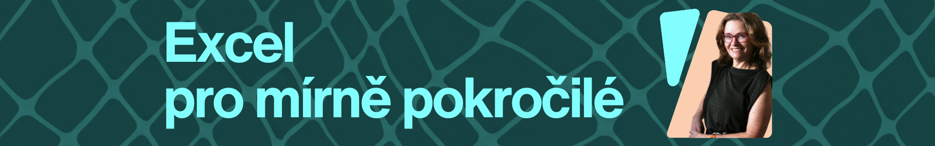 Excel pro mírně pokročilé